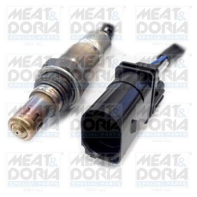 Oxygen Sensor